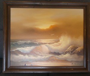 13256470_10208779690466305_574780164072295853_n